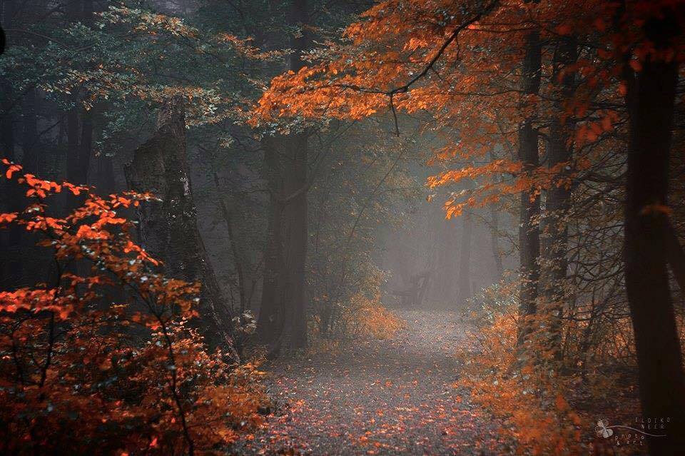 Chanson d'automne