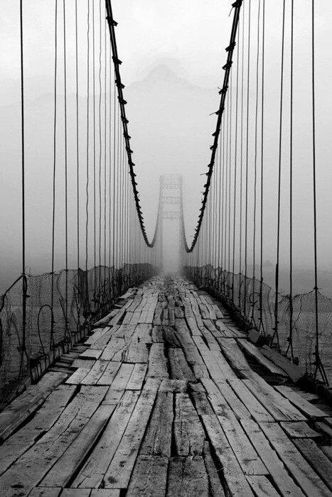 El camino en la niebla