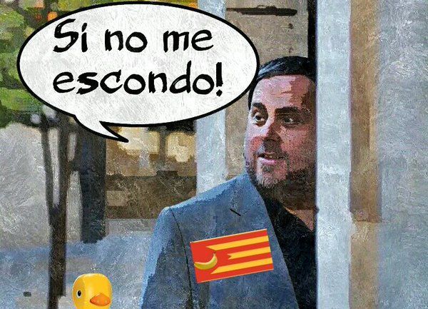 CAT de Bono