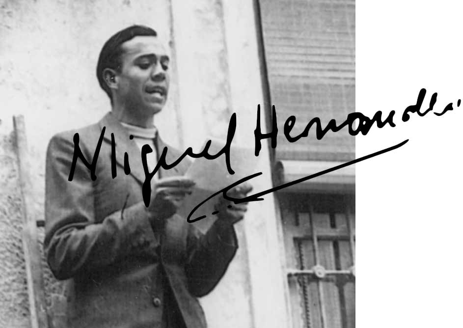 MIGUEL HERNANDEZ