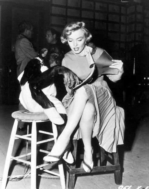 Marilyn Monroe con chimpancé