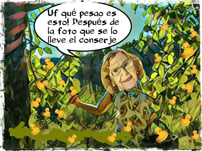 abu-en-su-chupihuerto-de-su-despachito-en-el-ayuntamiento-de-madrid