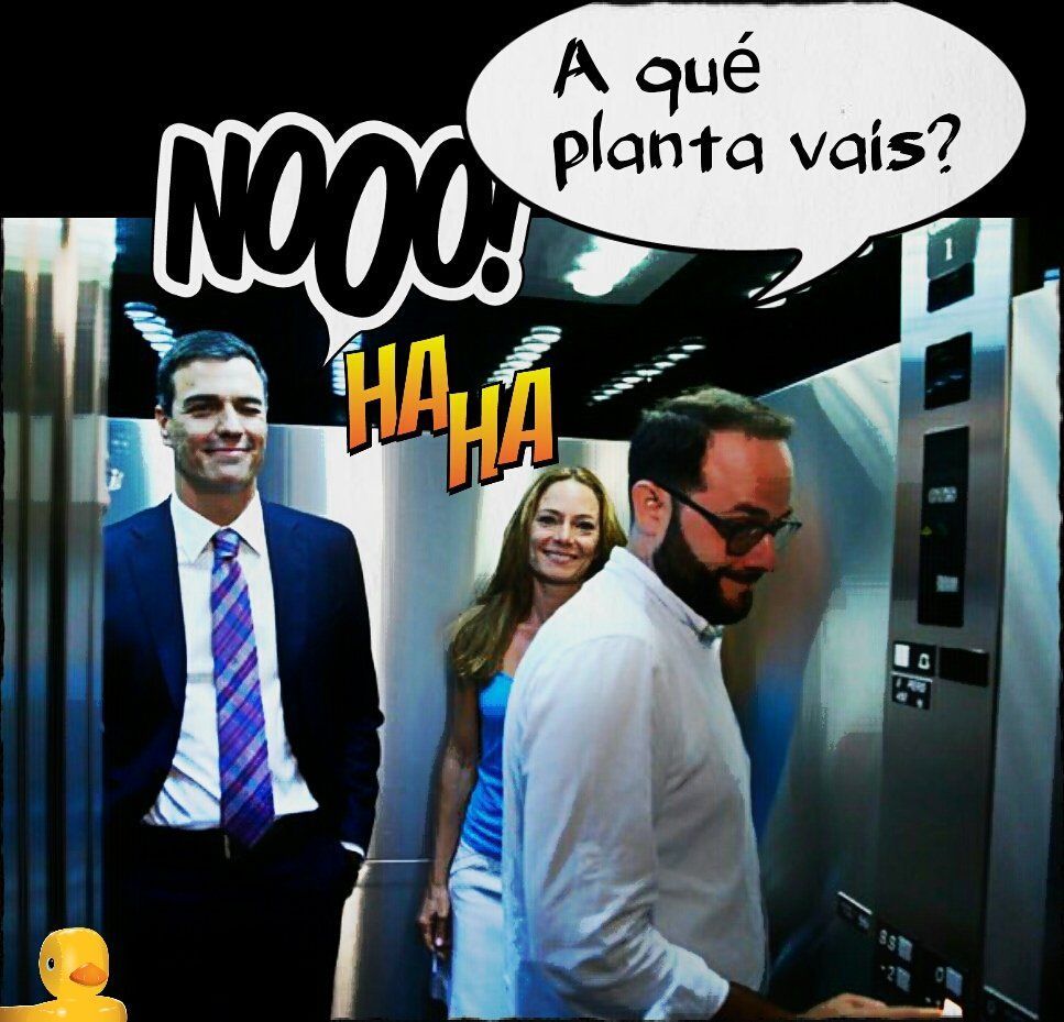 tonto-muy-tonto