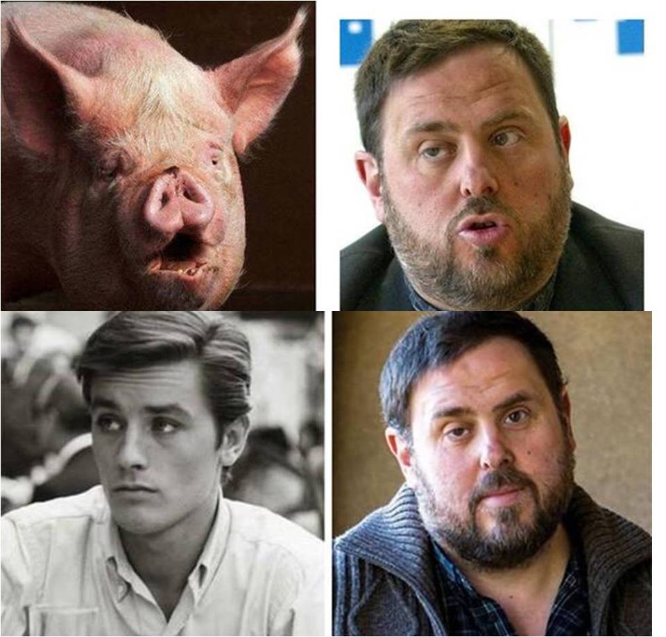 el-vicepresidente-delincuente-de-la-generalidad-de-cataluna-junqueras