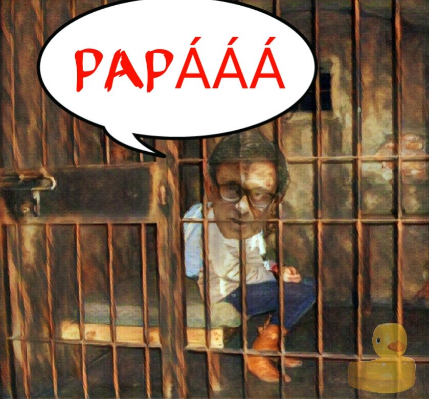 Senior sacando del zumo papeles, fotos y vídeos