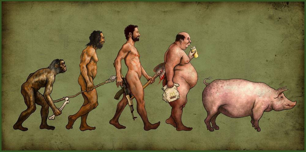 DE EVOLUCIÓN Y PROGRESO