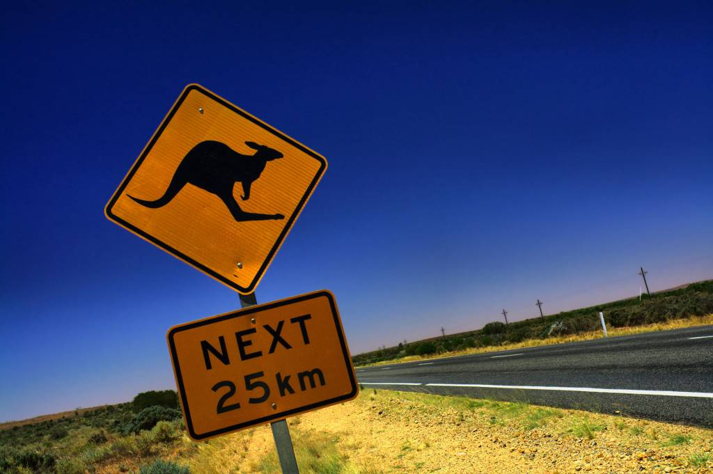 QUIERO SER CANGURO Y VIVIR EN AUSTRALIA