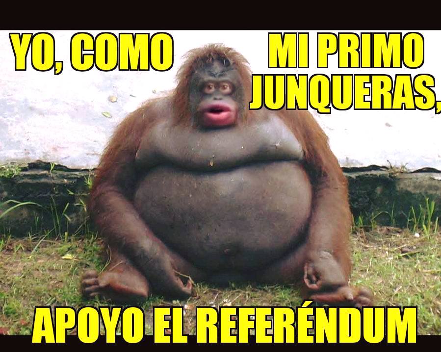 ===Un dia que pasará a la historia=== - Página 4 El-primo-de-Junqueras-apoya-el-referendum