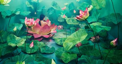 La pintura de los días por Demetrio Reigada: Hoy JeeYoung Lee, la artista que convierte su estudio en un mundo mágico La pintura de los días por Demetrio Reigada: Hoy JeeYoung Lee, la artista que convierte su estudio en un mundo mágico