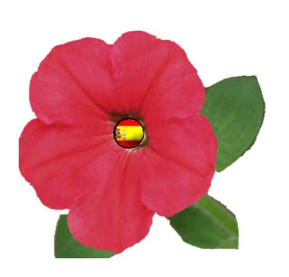 Modelo de petunia de fieltro sujeto a la solapa con alfiler.