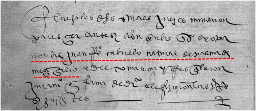 En la imagen podemos apreciar el documento en el que aparece el nombre de Cabrillo, que Wendy Kramer encontró y que podemos seguir renglón a renglón: luego los dichos señores jueces mandaron/ parescer ante si a un onbre que se dixo por/ nonbre Juan Rdez Cabrillo natural de Palma de/ Meci Gilio e del tomaron e rescibieron/ juramento en forma de derecho e le fizieron las preguntas/ siguientes… (Palma de Meci Gilio= Palma del Río). Imagen de elaboración propia ©José Antonio Crespo-Francés