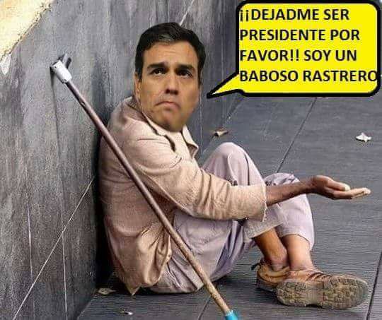 El PSOE dirigido por el indigente Sánchez