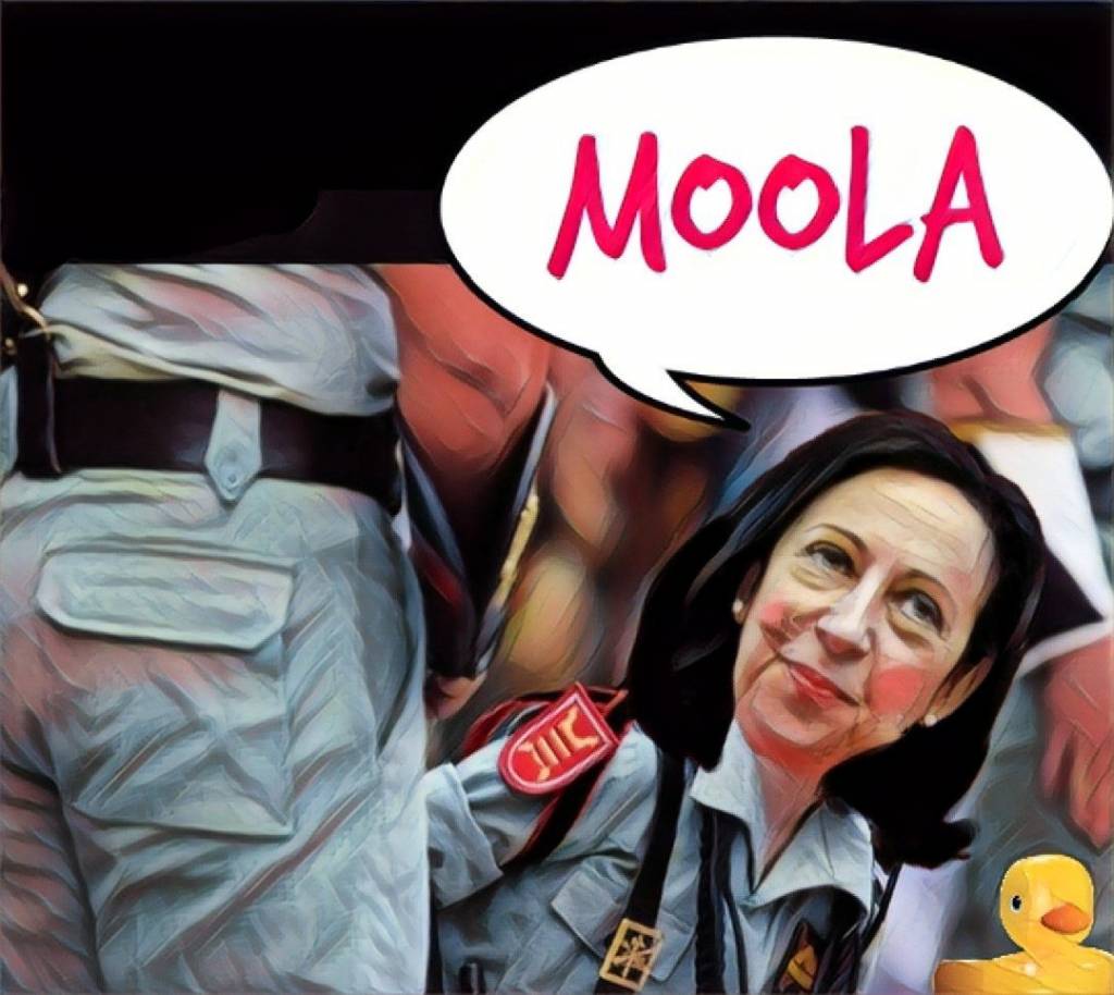 Margarita Robles, nueva Ministra de Defensa, se acaba de dar de baja en Meetic