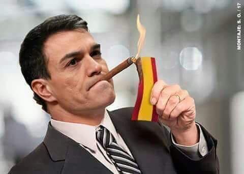 CARTA ABIERTA A PEDRO I de la MONCLOA