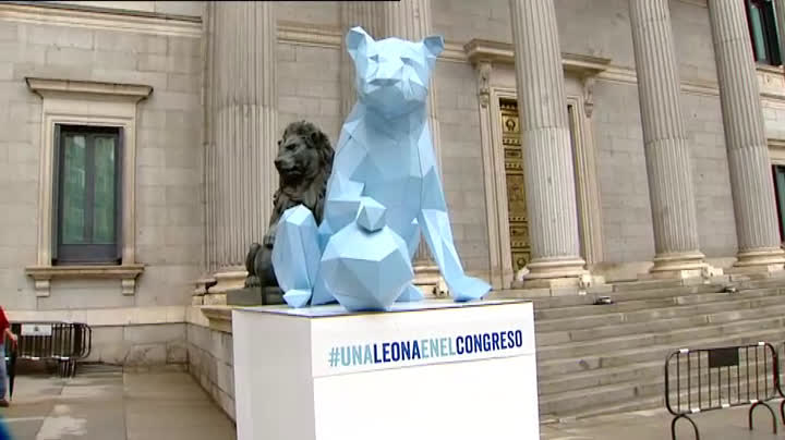 La ONG Plan International ha organizado un acto en el que ha colocado una leona en el Congreso.