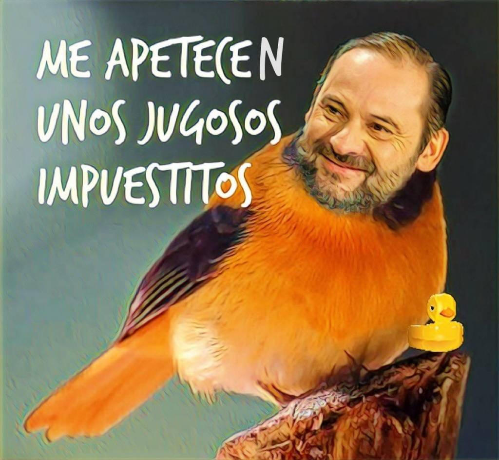 No es gorrión, es gorrón. Por Linda Galmor
