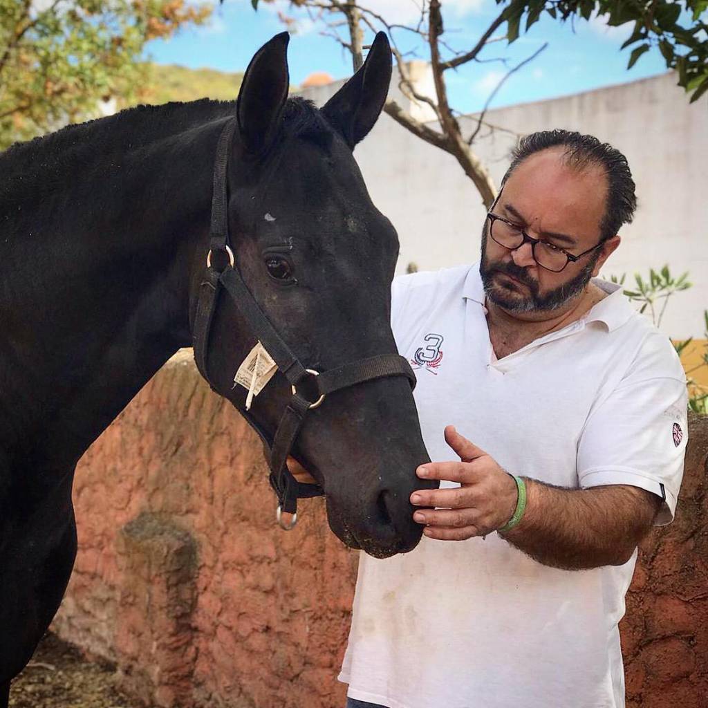 Fernando Molina es el presidente de la Asociación Extremeña de Cría Caballar