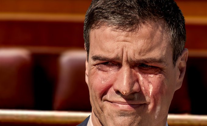 Irse es el mejor favor que Pedro Sánchez podría hacerle al PSOE en este momento