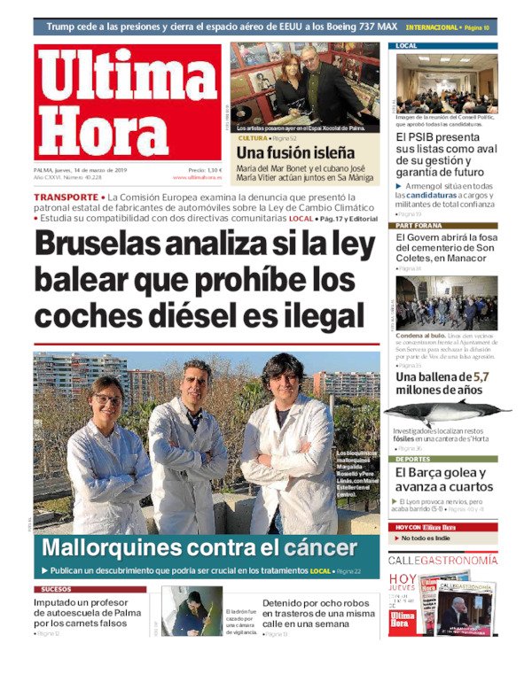 tontos a gas oil