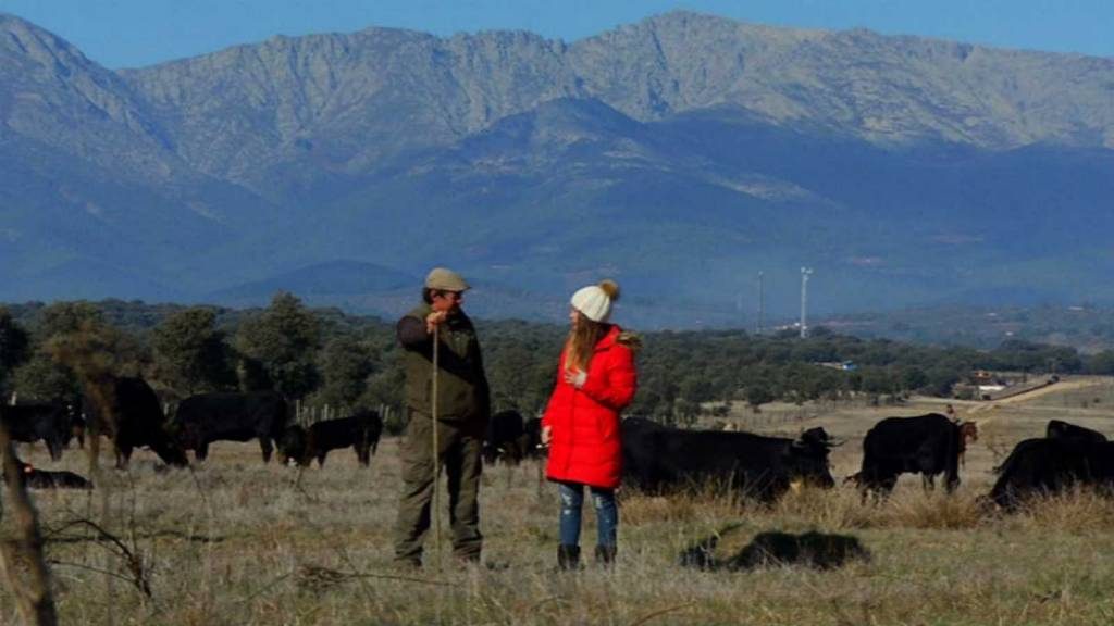 Trashumancia de bravo