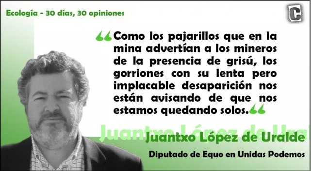 (tu si que estás hecho un buen pajarraco)