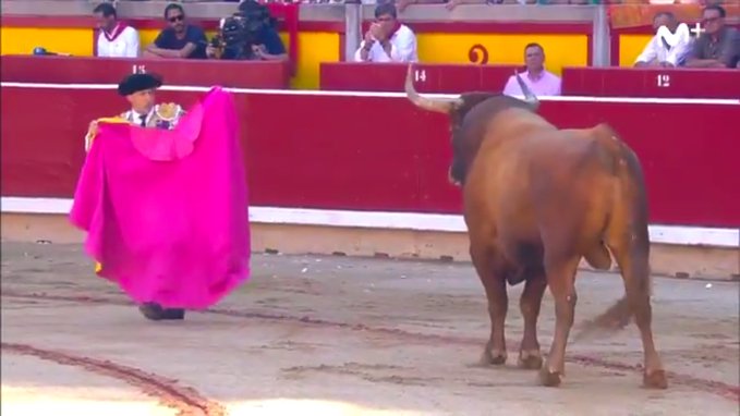 Rabanero el primero, pesaba 640kg y era de alto como Rafaelillo.