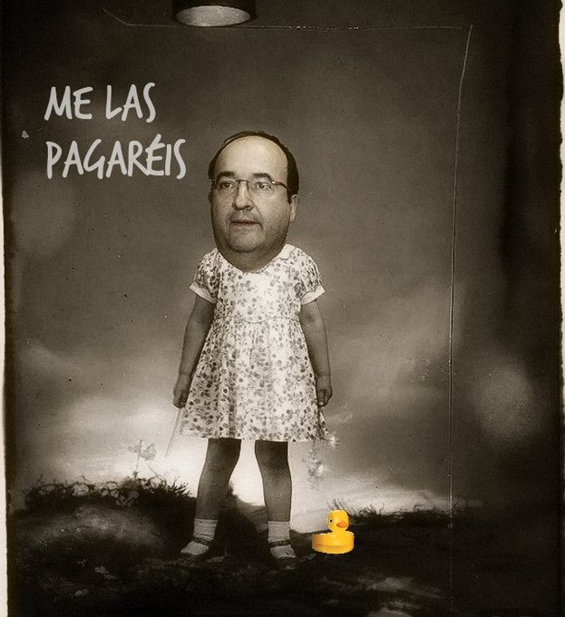 Le jodieron el puestazo de Presidente del Senado y no olvida. Por Linda Galmor
