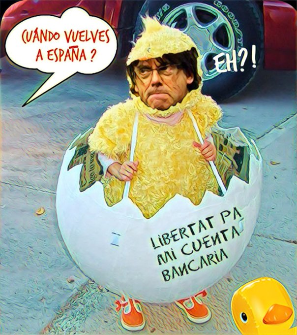 Camino de Perpiñán para montar un pollo. Por Linda Galmor