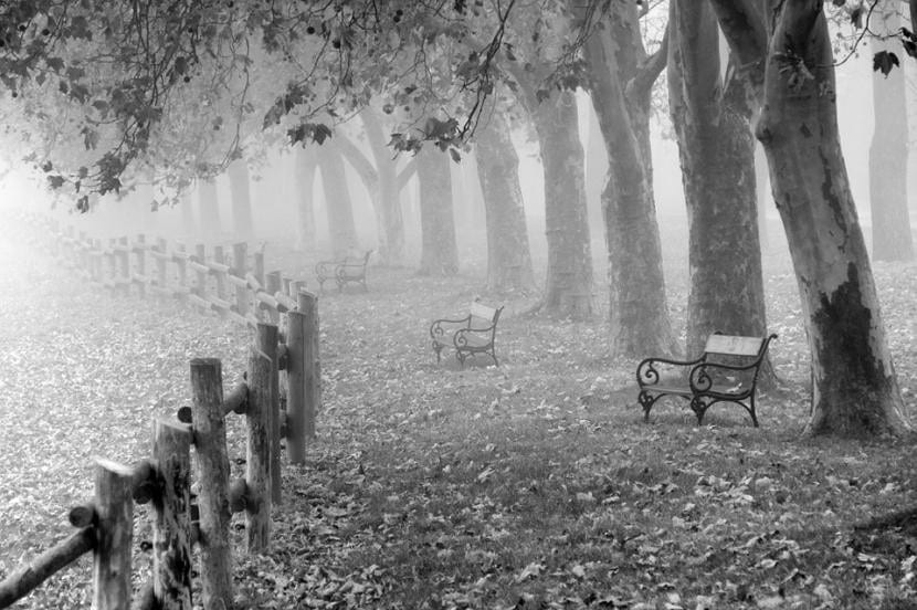 El peligro en esta España nuestra es la niebla que nos impide ver el futuro