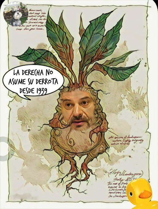 En el vivero de líderes socialistas se utiliza abono orgánico y se nota. Por Linda Galmor