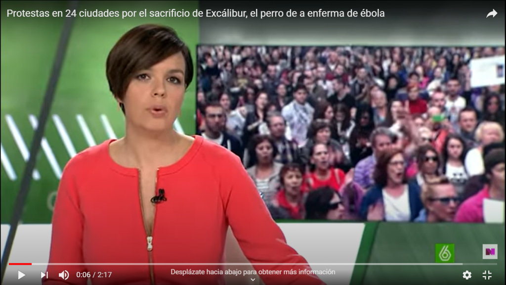 Manifestaciones en 24 ciudades