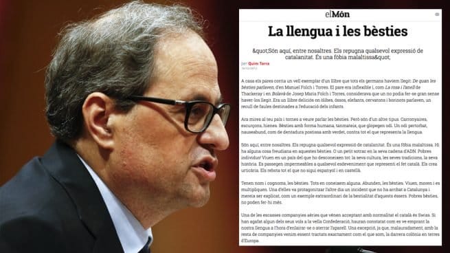 ¿Dónde está el orden constitucional?