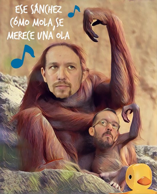 El Pavo Iglesias, gracias al Psoe, se libra de dar cuenta en el Congreso de la caja b de Podemos. Por Linda Galmor