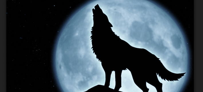 que viene el lobo