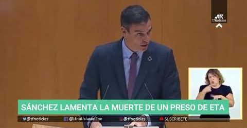 Banda terrorista señor Sánchez