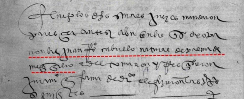 En la imagen podemos apreciar el documento en el que aparece el nombre de Cabrillo, que Wendy Kramer encontró y que podemos seguir renglón a renglón: luego los dichos señores jueces mandaron/ parescer ante si a un onbre que se dixo por/ nonbre Juan Rdez Cabrillo natural de Palma de/ Meci Gilio e del tomaron e rescibieron/ juramento en forma de derecho e le fizieron las preguntas/ siguientes… (Palma de Meci Gilio= Palma del Río). Imagen de elaboración propia ©José Antonio Crespo-Francés
