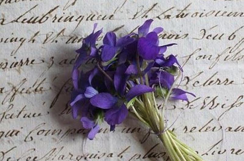 Echo de menos un ramito de violetas para España y su libertad