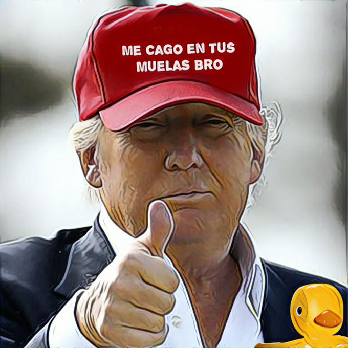 Veremos qué pasa con las presuntas irregularidades denunciadas por Trump. Por Linda Galmor
