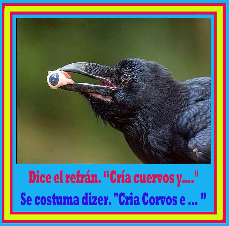 Cría cuervos y … Ilustración de Mariano González Balseiro