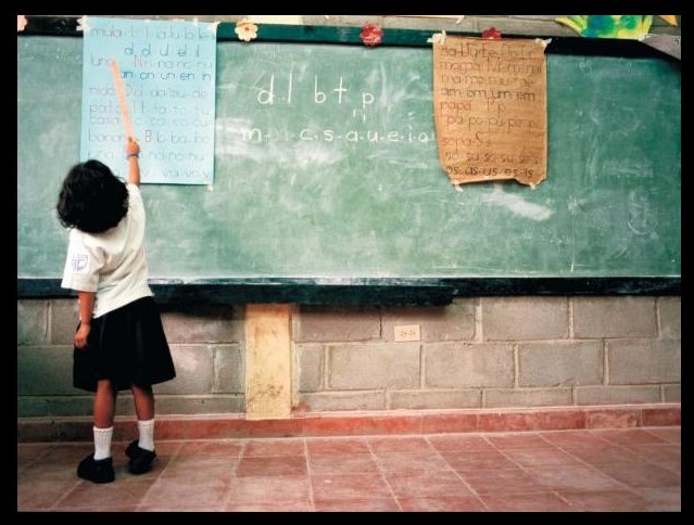 Del éxito y del fracaso escolar