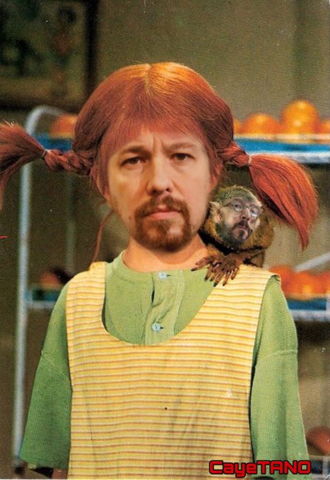 La rata en el hombro