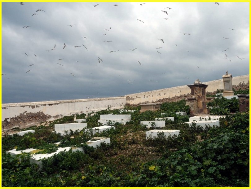 Actualmente, sólo la habitan colonias ingentes de gaviotas