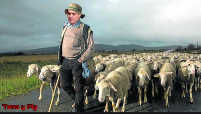 Popurrí de Zarzuelas dedicado al jefe lechón del pueblo lanar. Ilustración de Tano y Pig