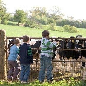 Open Farm Sunday