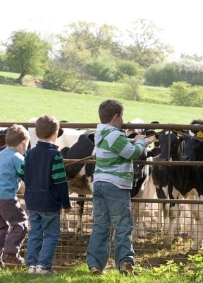 Open Farm Sunday