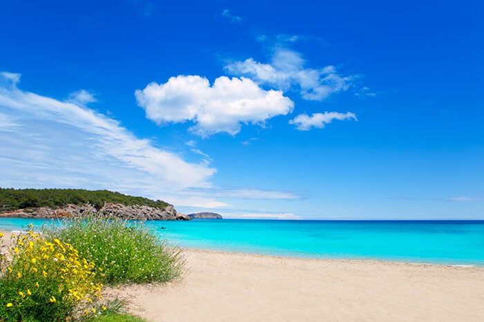 luxury yacht charter ibiza