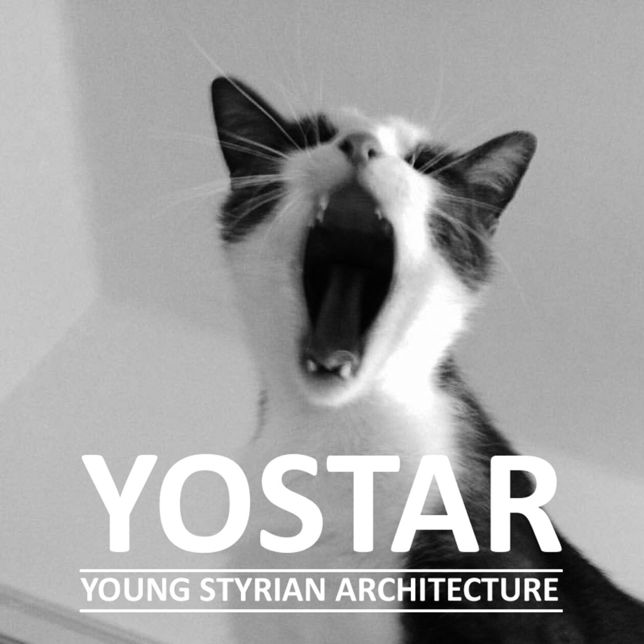 Yostar Young Styrian Architecture 01