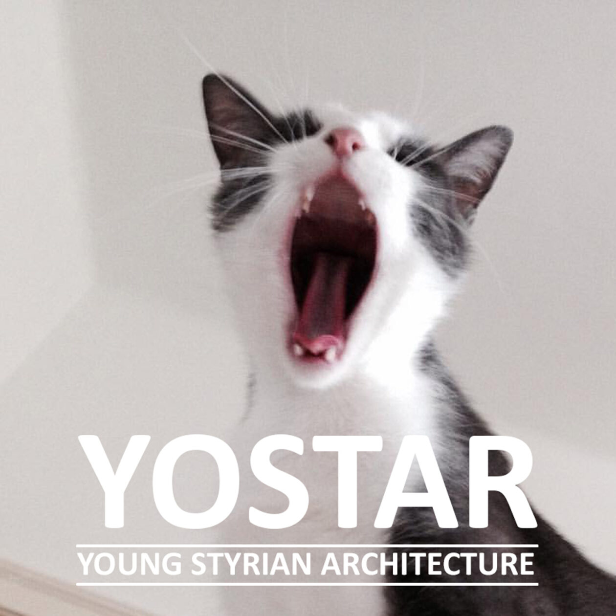 Yostar Young Styrian Architecture 02