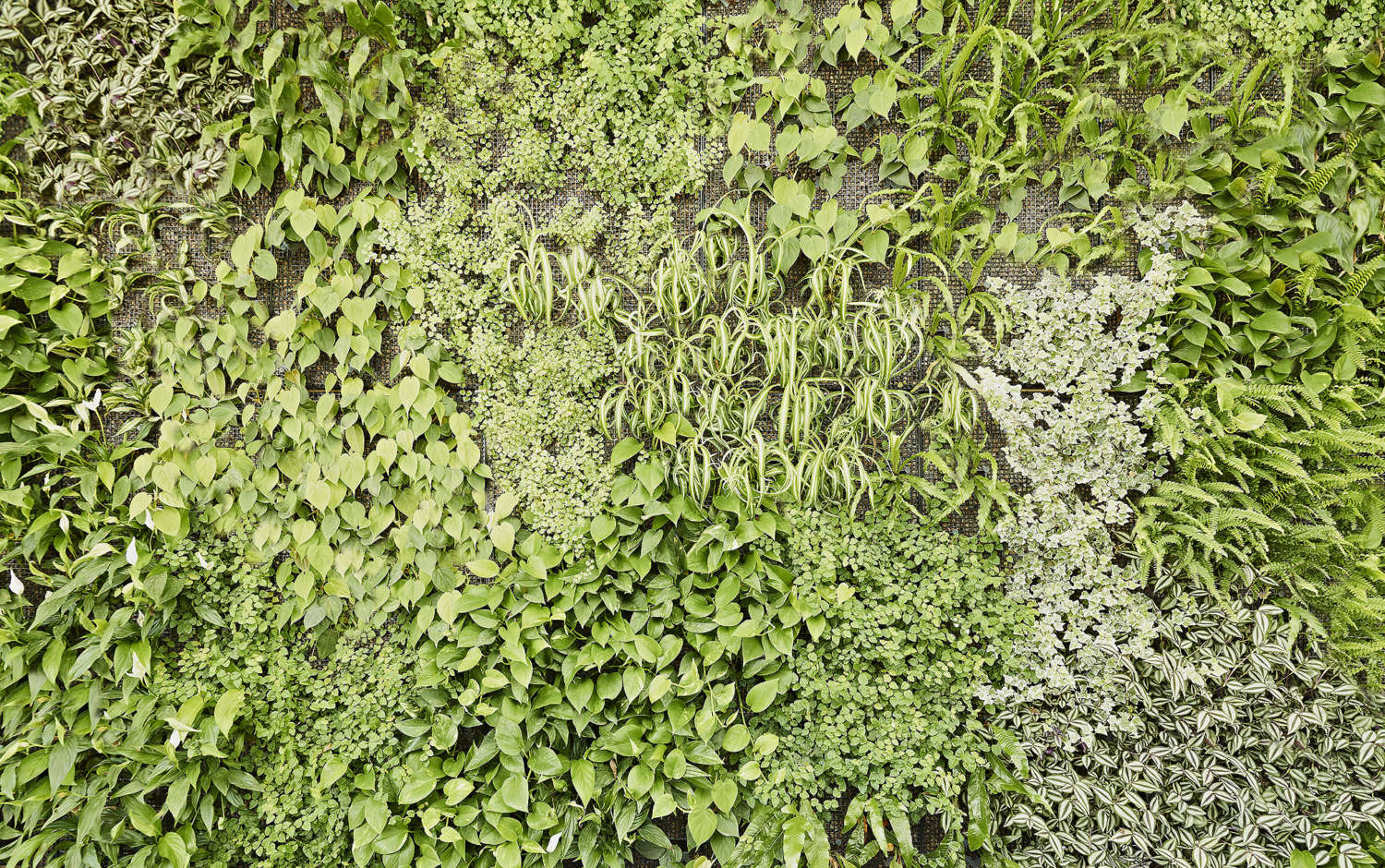Ausstellungshalle Gramenz Wiesbaden 05