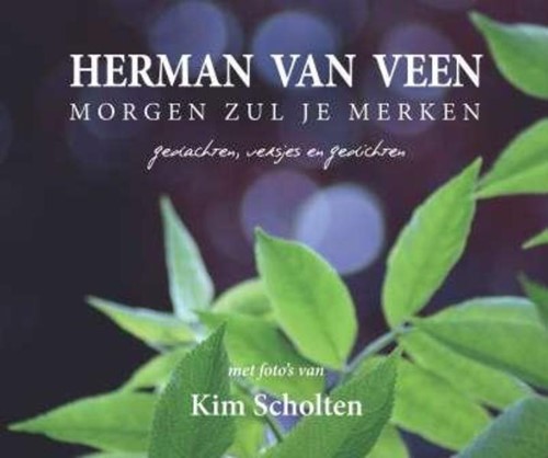 morgen zul je merken: gedachten, versjes en gedichten (9789043524124